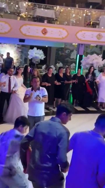 Езидская свадьба В Санкт-Петербурге Dawata Ezdia #wedding #shorts #ezidi #mashup смотреть онлайн