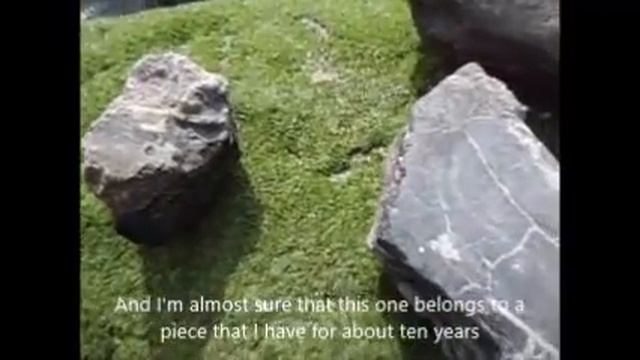 Recovering Sauropod Dinosaur Bone Fragments смотреть онлайн