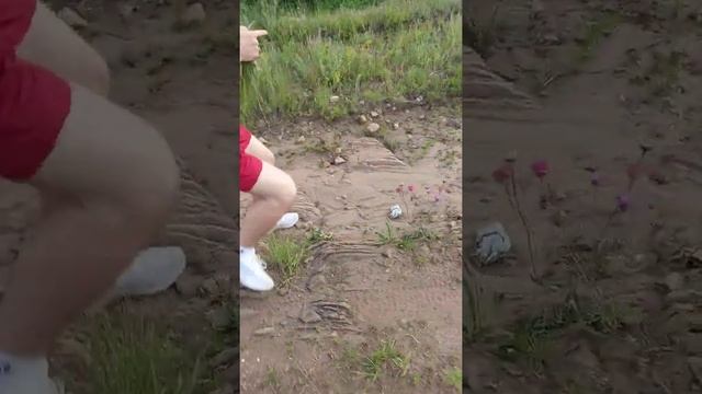 Нарве́м, тебе цветов с полей Часть 2 (Валик находит закладку)