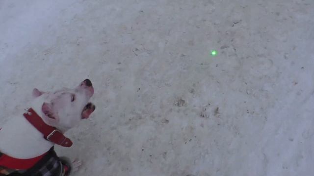 Беги Берта, Беги!!!! смотреть онлайн