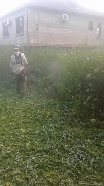 как избавиться от сорняки смотреть онлайн