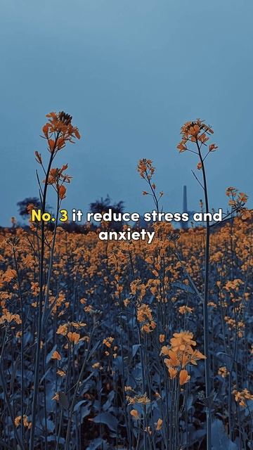 Benefits of salah| Don't Skip! ❌ смотреть онлайн