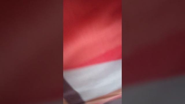 Nacio un gato De la lily negra, y es machito 🤑 смотреть онлайн