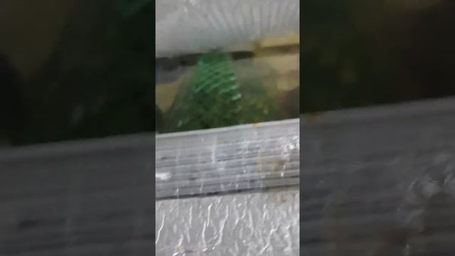 На ошибках учимся смотреть онлайн