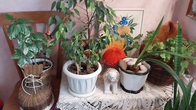 Всех с Чистым четвергом!🤗 смотреть онлайн