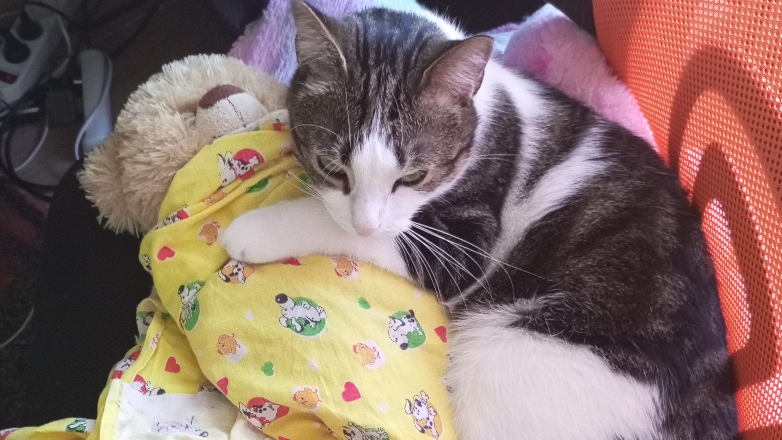 восьмиклассница