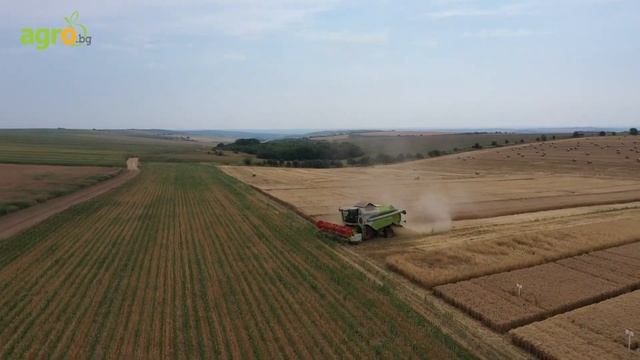 За сигурни добиви заложете на сигурни сортове смотреть онлайн