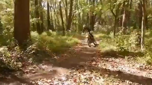 Motocross 2017 смотреть онлайн