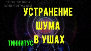 Матрица Гаряева «Устранение шума в ушах» | Тиннитус | Восстановление слуха