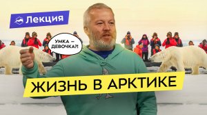 Удивительные факты про Арктику. Локации, белые медведи и комары-вегетарианцы