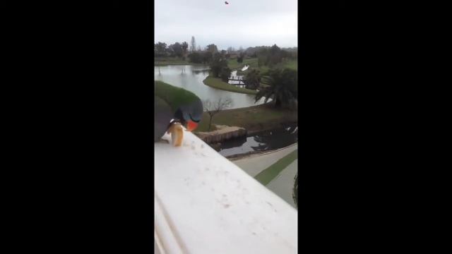 Убийца Кеша смотреть онлайн