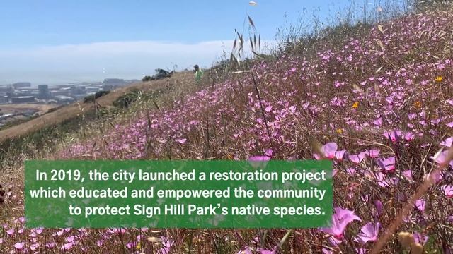 South San Francisco: 2021 Helen Putnam Award for Excellence смотреть онлайн