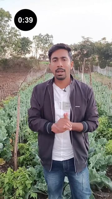 चुकंदर की खेती के लिए बीज का कितना खर्च होगा | Beetroot Seeds | #shorts смотреть онлайн