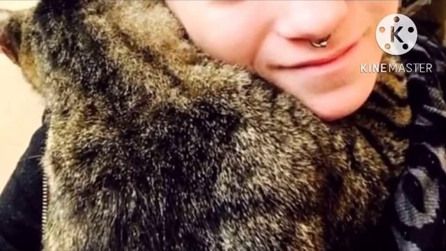 Кот из приюта крепко обнял девушку и уткнулся в её воротник. Она не могла его не забрать смотреть онлайн
