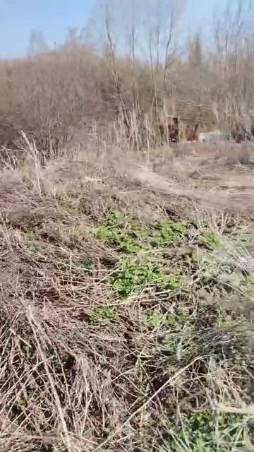 11824728 смотреть онлайн