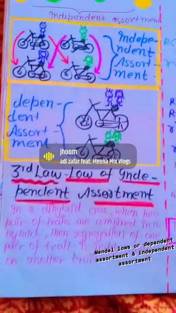 mendel lows or Dependent assortment & independent assortment (NEET) ASPIRANTS 🧑⚕️❤️🧑⚕️ смотреть онлайн