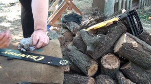 ВЫГУЛЯЛ ШЕРШНЯ! БЕНЗОПИЛА ЧЕМПИОН 256-18!