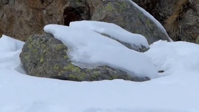 Hermine en hiver смотреть онлайн