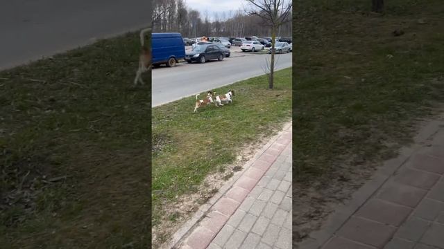 Уникум /ч.2 смотреть онлайн