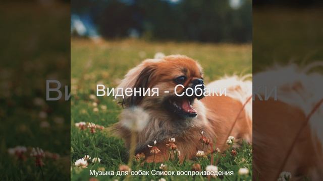 Атмосфера (Щенки)