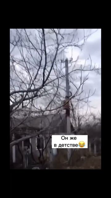 Первые 40 лет детства мужчины проходят особенно весело😂 #жиза #юмор #весело #смешноевидео #дизайн смотреть онлайн
