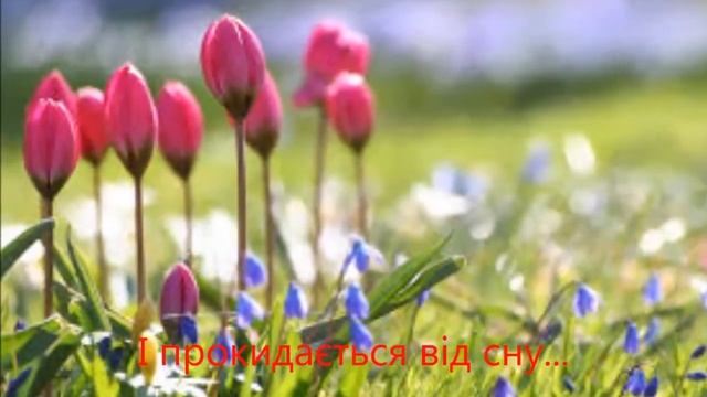 Відеопривітання "Подарунок весни" смотреть онлайн