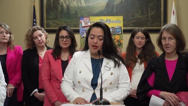 Legislative Women’s Caucus Announces Bills on Reproductive Justice & Abortion Rights смотреть онлайн