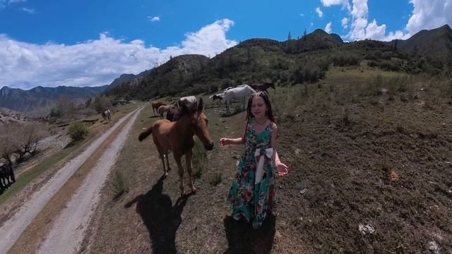 Кони-птицы Мария Поликанова | 2024 композитор В. Тюльканов #song  #voice #music #newsong #music