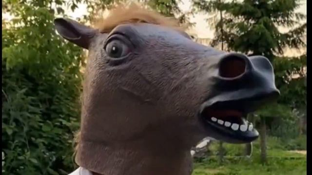 Три песни Мальчишки Стругать + неудачные дубли + маска лошади = прощальный подарок! смотреть онлайн