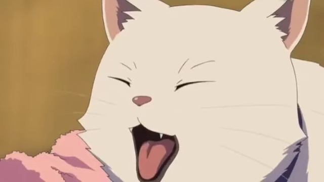 nya nya nyaaaa... [yukinoshita yukino] смотреть онлайн