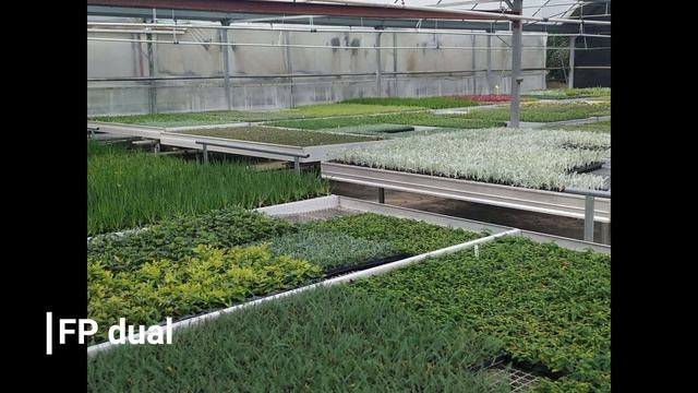 CFGS Paisatgisme i medi rural_Institut d'Horticultura i Jardineria de Reus смотреть онлайн