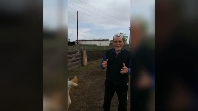 Шәп һыйыр смотреть онлайн