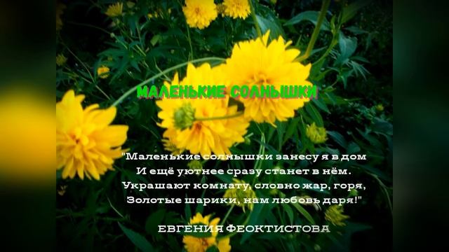 МАЛЕНЬКИЕ СОЛНЫШКИ смотреть онлайн