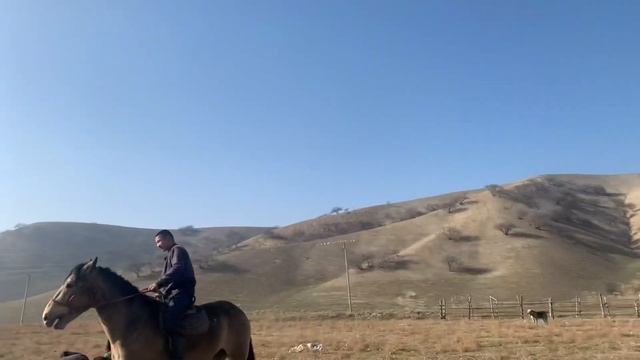 Адмирал Ак- боору Апачи Акула 1часть