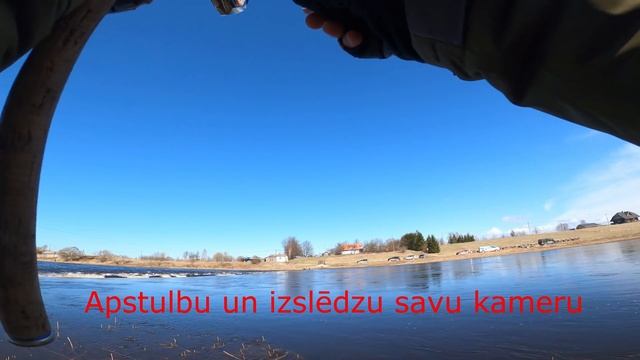 Pirmo reizi dzīvē braucu lašos! Kā noķert lasi iesācējam? Izsludinu konkursu! Salaca A zona. смотреть онлайн