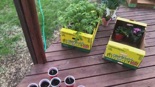 Канада. Жизнь в загородном доме 01. 23 мая 2020 года. Первые впечатления . смотреть онлайн