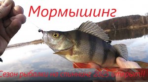 Мормышинг.Спиннинговый сезон 2025 открыт!!!!