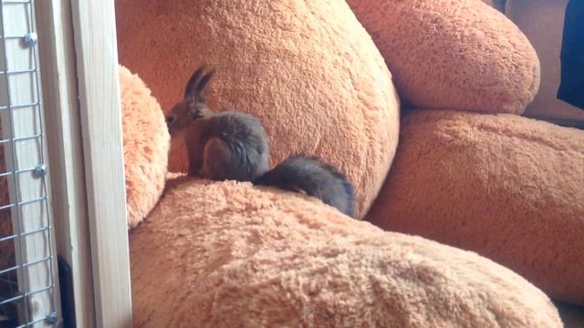 Р смотреть онлайн