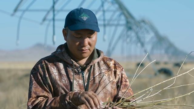 Ургамлын хаан Хунчир / Astragalus