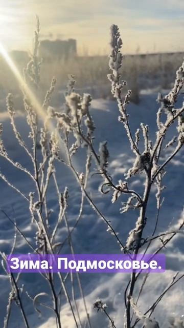 Зима в Подмосковье. #2023 смотреть онлайн