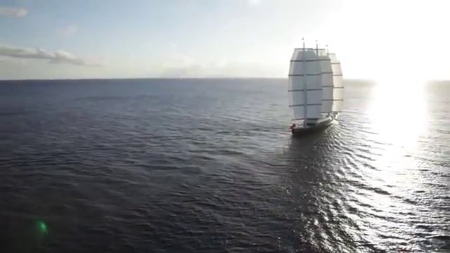 Maltese Falcon 2011 смотреть онлайн