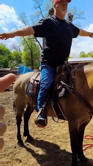 #finding your #balance #balancing #horse #center #equine #equestrian #horsemanship смотреть онлайн