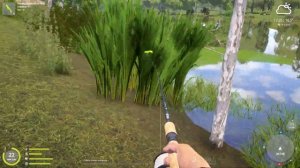 северский донец судак рр4