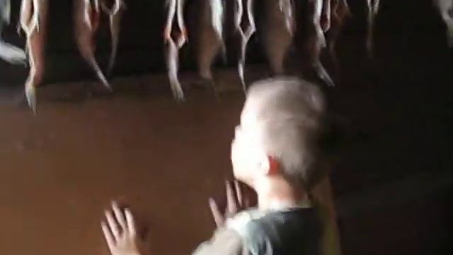 сушим рыбу смотреть онлайн