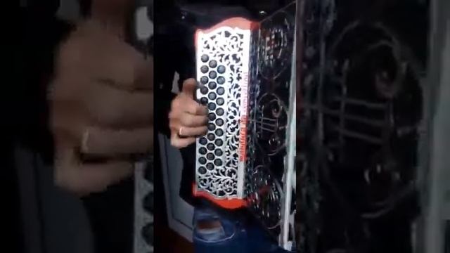 Manduca da concertina смотреть онлайн