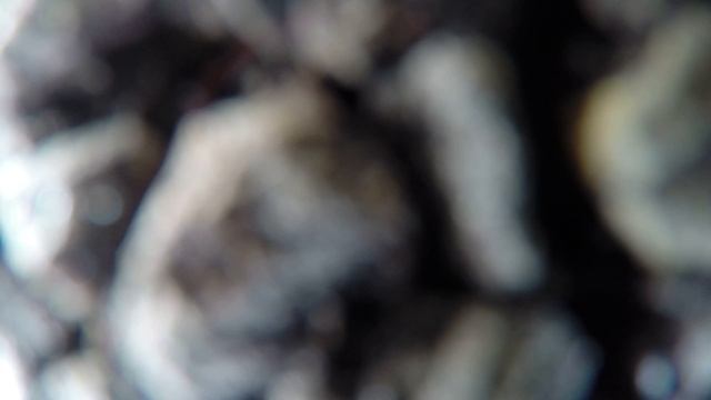 anglesey cb chase camera falls off смотреть онлайн