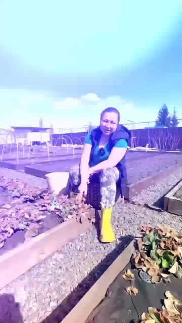 В этом году снимаю укрывной, пролежал он там 3 сезона смотреть онлайн