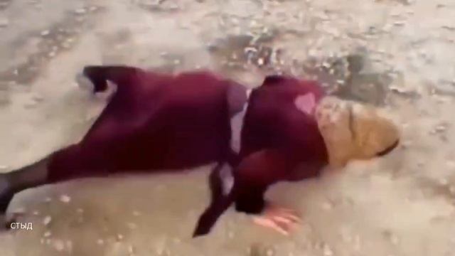 бабуля затянулась😂