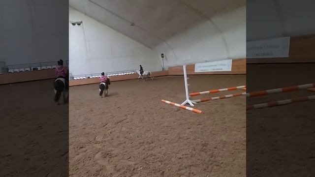 Любимое занятие!!!!!(3) смотреть онлайн