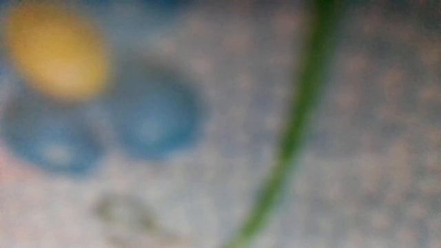 Три медведя(Маша ягод захотела и за ними в лес пошла.А когда в лесу стемнело,дом большой (наброски) смотреть онлайн